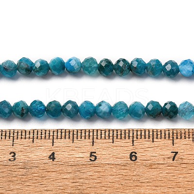 Natural Apatite Beads Strands G-A276-C08-4mm-03-1