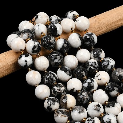 Natural Zebra Jasper Beads Strands G-C249-A15-16mm-1