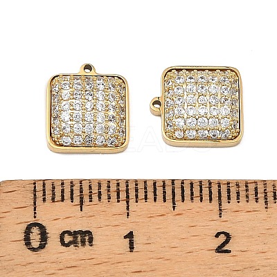 304 Stainless Steel Micro Pave Cubic Zirconia Charms STAS-I356-04G-04-1