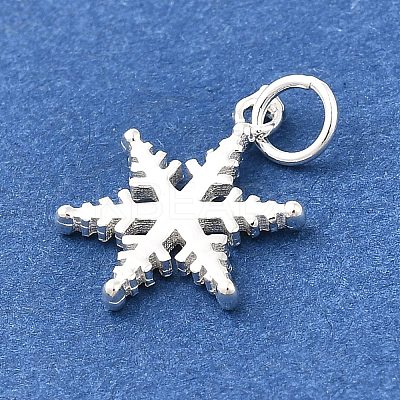 925 Sterling Silver Pendants STER-Q003-01B-S-1