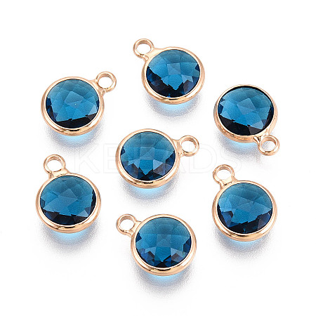 Golden Tone Brass Glass Charms X-GLAA-ZX008-24D-G-1