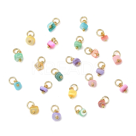 Dyed Natural Freshwater Shell Nuggets Charms PALLOY-JF04375-01-1