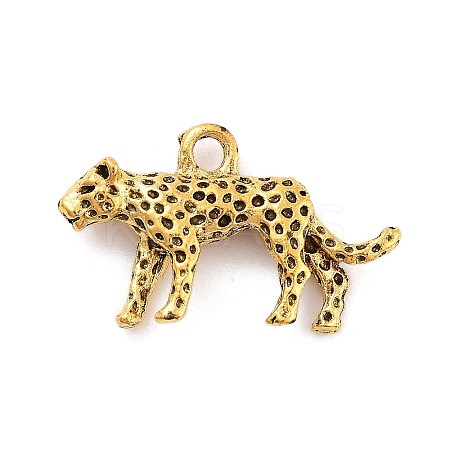 Tibetan Style Alloy Charms LS-X-FIND-G077-02AG-1