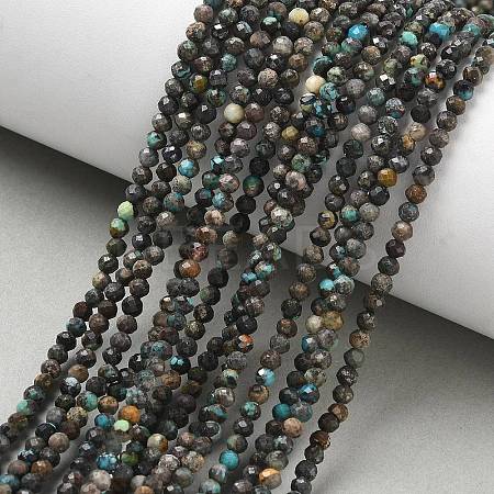 Natural African Turquoise(Jasper) Beads Strands G-RM241221-B9-1