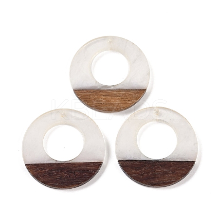Resin & Wood Pendants WOOD-F015-14C-1
