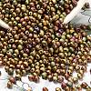 MIYUKI 3.4mm Drop Beads X-SEED-MY04-DP2035-3