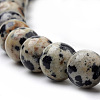 Natural Dalmatian Jasper Beads Strands X-G-S259-24-10mm-3