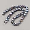 Baroque Natural Cultured Freshwater Pearl Beads Strands PEAR-WH20001-01B-2