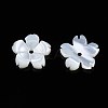 Natural White Shell Beads SSHEL-S260-057-3