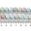 Natural Rainbow Alashan Agate Beads Strands G-NH0022-B01-02-5