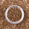 FGB 11/0 Grade A Baking Paint Glass Seed Beads X-SEED-S030-1146-3