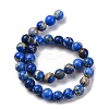 Dyed Natural Regalite/Imperial Jasper/Sea Sediment Jasper Beads Strands G-B124-C02-01-5