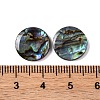 Natural Paua Shell Epoxy Resin Cabochons SSHEL-S279-01A-3