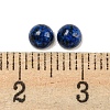 Natural Lapis Lazuli Dyed Cabochons G-H309-03-51-3