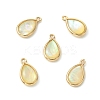 5Pcs Brass Pave Natural Paua Shell Teardrop Charms KK-YW0003-46-1