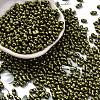 Baking Paint Glass Seed Beads SEED-L011-12A-02-1
