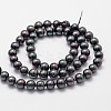 Shell Pearl Bead Strands X-BSHE-L025-05-6mm-2