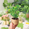 Platic Miniature Ornaments PW-WG84498-01-3
