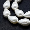 Electroplate Shell Pearl Beads Strands BSHE-G010-16x25mm-01-3