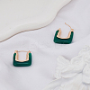 1 Pair Alloy with Resin Hoop Earrings for Women EJEW-LP0004-71A-3