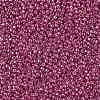 TOHO 11/0 Round Beads SEED-TR11-PF0563-2