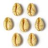 Natural Cowrie Shell Beads X-SSHEL-N0232-08F-1