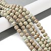 Natural Rainbow Alashan Agate Beads Strands G-NH0022-A08-02-2