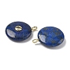Dyed Natural Lapis Lazuli Pendants G-I391-02G-04-2
