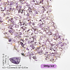 500G Natural Amethyst Chip Beads G-SP0001-10-2