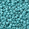 TOHO 3/0 Round Beads SEED-TR03-0055-2