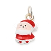 Christmas Themes Alloy Enamel Pendants LS-FIND-I063-01C-1
