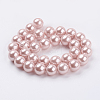 Shell Pearl Beads Strands X-BSHE-G013-12mm-02-2