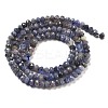Natural Tanzanite Beads Strands X-G-G161-B14-01-3