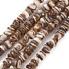 Natural Black Lip Shell Beads Strands SSHEL-F304-02A-2