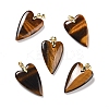Natural Tiger Eye Pendants X-G-E570-01G-07-1
