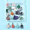 20Pcs 10 Styles Natural & Synthetic Mixed Gemstone Pendants G-FS0005-93P-01-5