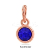 Rose Gold Plated Alloy Glass Rhinestone Charms PALLOY-TAC0016-A09-RG-1