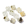 Natural Mixed Gemstone Beads G-K369-04-2