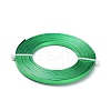 Flat Jewelry Craft Wire Aluminum Wire for Bezel AW-XCP0002-06-2