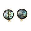 304 Stainless Steel Pave Natural Paua Shell Stud Earring Findings STAS-Z125-10G-1