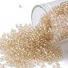 TOHO Round Seed Beads X-SEED-TR11-0629-1