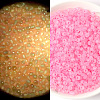 100G Luminous Frosted Glass Beads FGLA-WH0003-01F-1