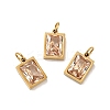 PVD Vacuum Plating 304 Stainless Steel Pendants STAS-D189-03G-B09-1