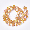Freshwater Shell Beads Strands SHEL-S274-52D-2