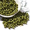 Picasso Baking Paint Glass Seed Beads SEED-A032-02A-02-1