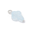 Glass Pendants PALLOY-JF03681-01-4
