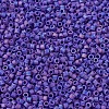 MIYUKI Delica Beads X-SEED-J020-DB0880-3
