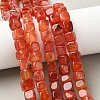 Natural Dragon Veins Agate Beads Strands G-G177-E01-05-5