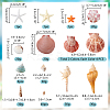 14 Styles Natural Shell Ornaments AJEW-PH0011-89-2