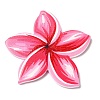Opaque Acrylic Pendants SACR-P021-02C-2